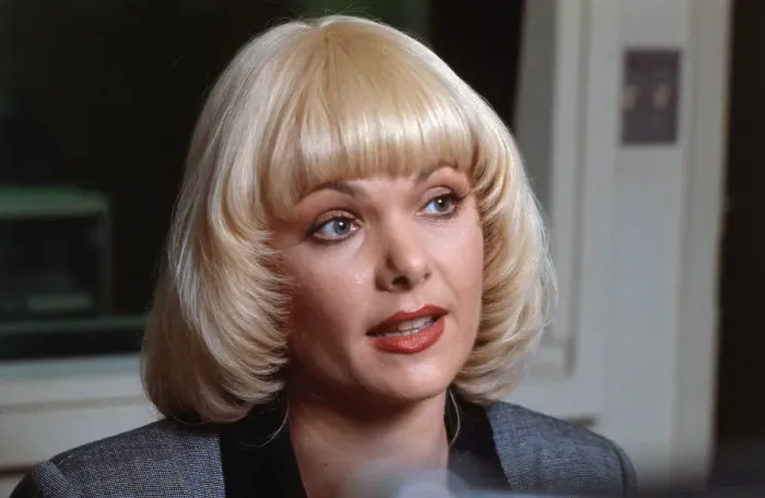 Framed Print : Portrait of Actress Ann Jillian Framed Print : Portrait of Actress Ann Jillian