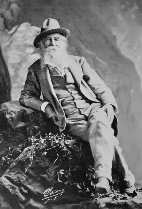 Framed Print : Portrait of Author Walt Whitman Framed Print : Portrait of Author Walt Whitman