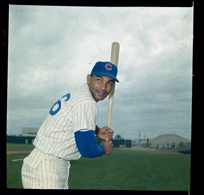 Framed Print : Portrait of Billy Williams Framed Print : Portrait of Billy Williams