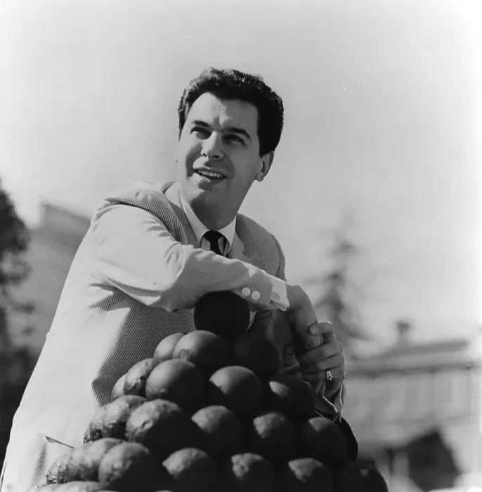Framed Print : Portrait With Cannonballs Framed Print : Portrait With Cannonballs