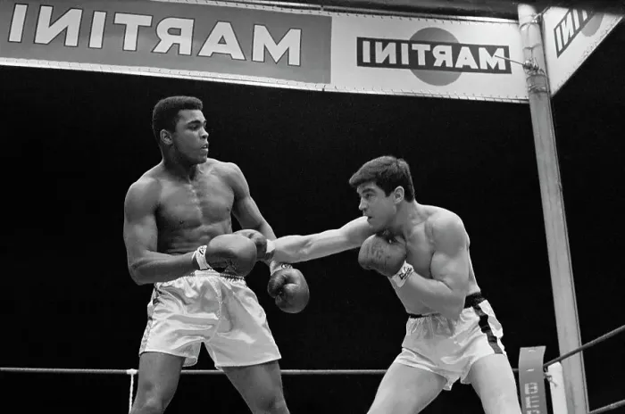 Framed Print : Portrait of Cassius Clay Boxing Karl Mildenberger Framed Print : Portrait of Cassius Clay Boxing Karl Mildenberger