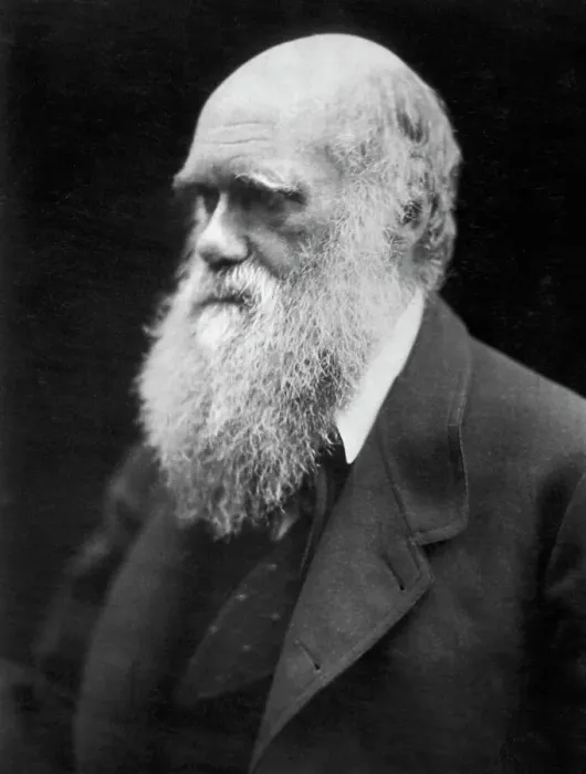 Framed Print : Portrait of Charles Darwin Framed Print : Portrait of Charles Darwin