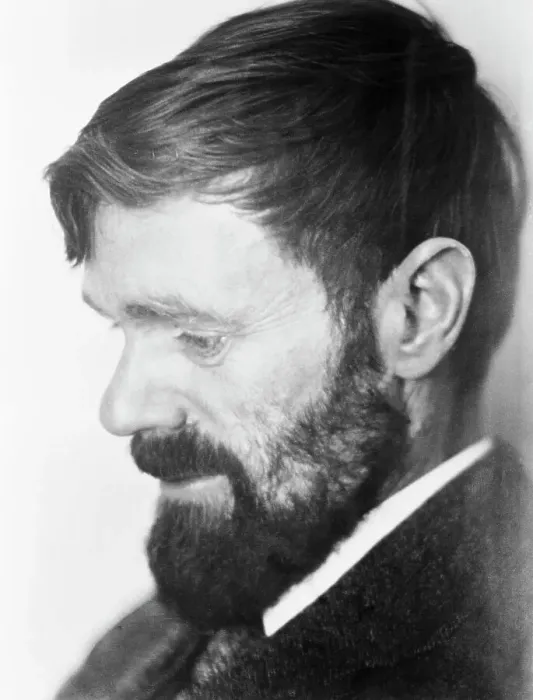Framed Print : Portrait Of D H Lawrence In Profile