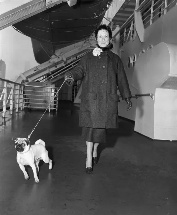 Framed Print : Portrait of Duchess of Windsor Walking Dog