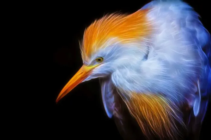 Framed Print : Portrait of an Egret in Neon Framed Print : Portrait of an Egret in Neon
