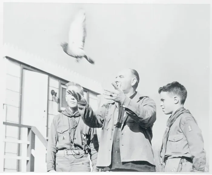 Framed Print : Portrait of Harold Saunders Releasing Pigeon Framed Print : Portrait of Harold Saunders Releasing Pigeon