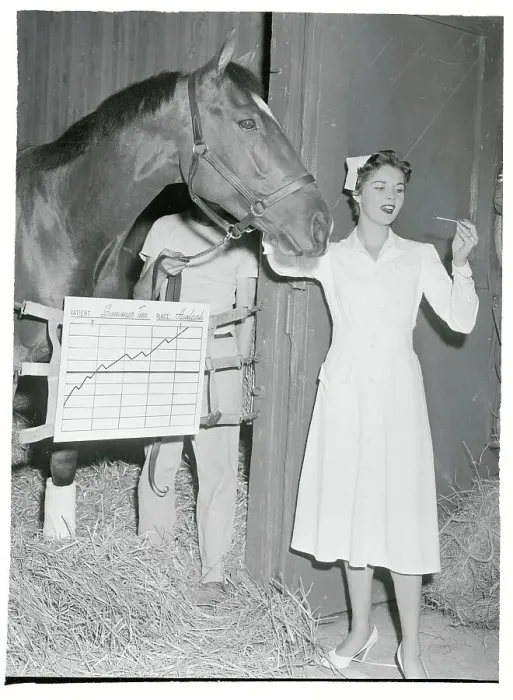 Framed Print : Portrait of Joyce Chrest with Horse Framed Print : Portrait of Joyce Chrest with Horse