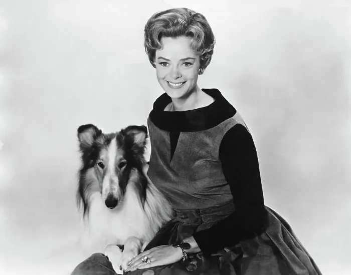 Framed Print : Portrait of June Lockhart and Lassie Framed Print : Portrait of June Lockhart and Lassie