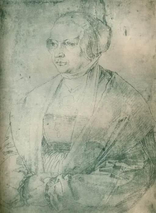 Framed Print : Portrait Of A Lady Circa 1500-1520