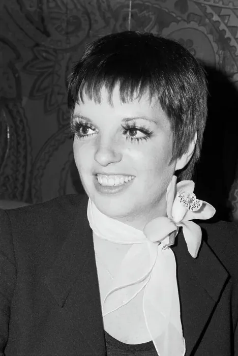 Framed Print : Portrait of Liza Minnelli Framed Print : Portrait of Liza Minnelli