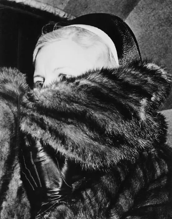 Framed Print : Portrait of Mae Capone Hiding Her Face in Mink Coat Framed Print : Portrait of Mae Capone Hiding Her Face in Mink Coat