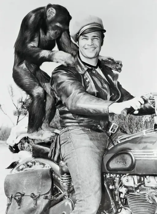 Framed Print : Portrait of Marlon Brando with Monkey Framed Print : Portrait of Marlon Brando with Monkey