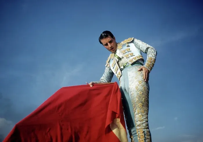Framed Print : PORTRAIT OF A MATADOR Framed Print : PORTRAIT OF A MATADOR