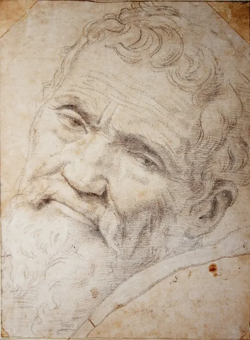 Framed Print : Portrait Of Michelangelo Buonarroti (1475-1564) Framed Print : Portrait Of Michelangelo Buonarroti (1475-1564)