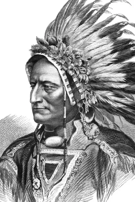 Framed Print : Portrait of native american tribal chief Sitting Bull 1875 Framed Print : Portrait of native american tribal chief Sitting Bull 1875