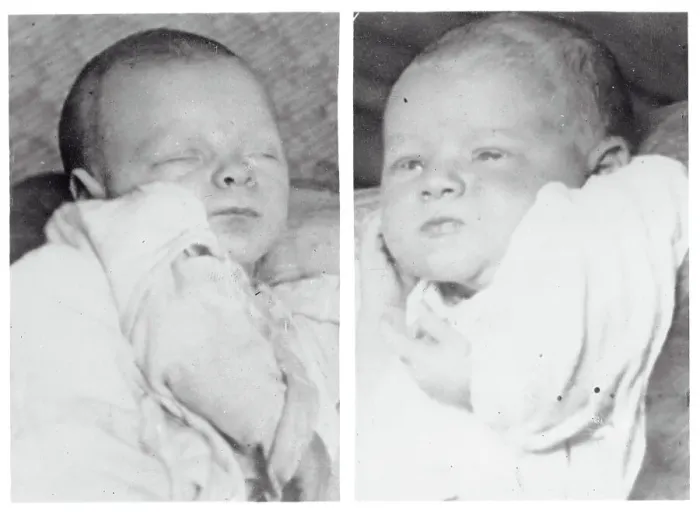 Framed Print : Portrait of Newborn Twins Framed Print : Portrait of Newborn Twins