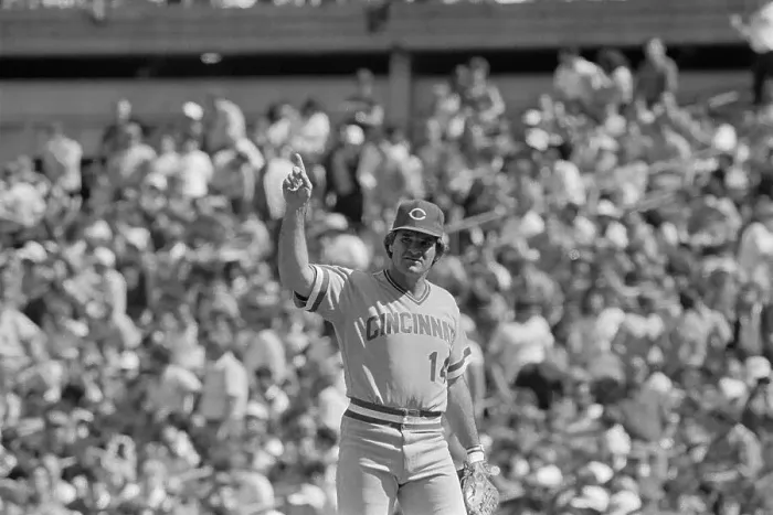 Framed Print : Portrait of Pete Rose Framed Print : Portrait of Pete Rose