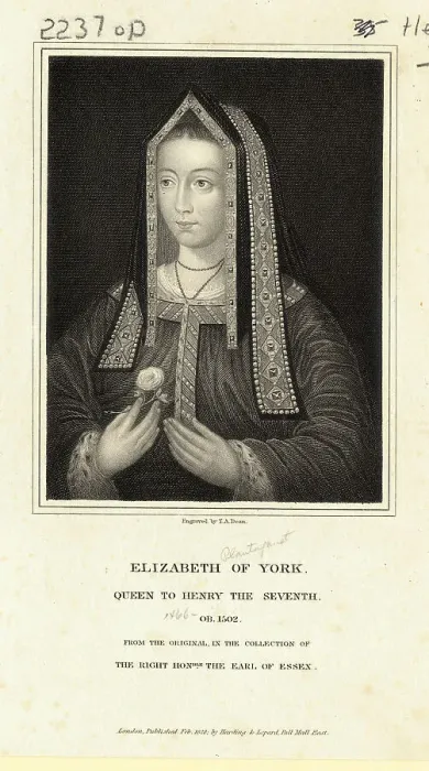 Framed Print : Portrait of Queen Elizabeth of York Holding Flower Framed Print : Portrait of Queen Elizabeth of York Holding Flower