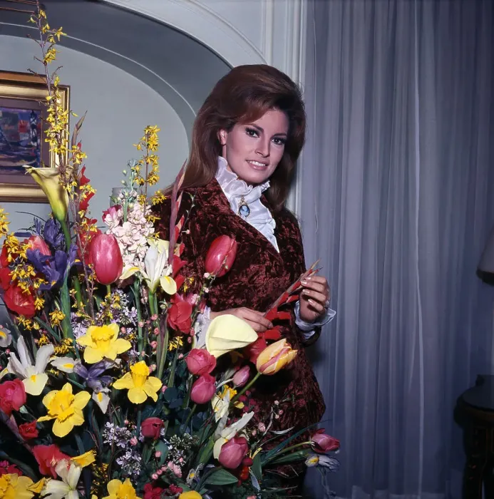 Framed Print : Portrait of Raquel Welch