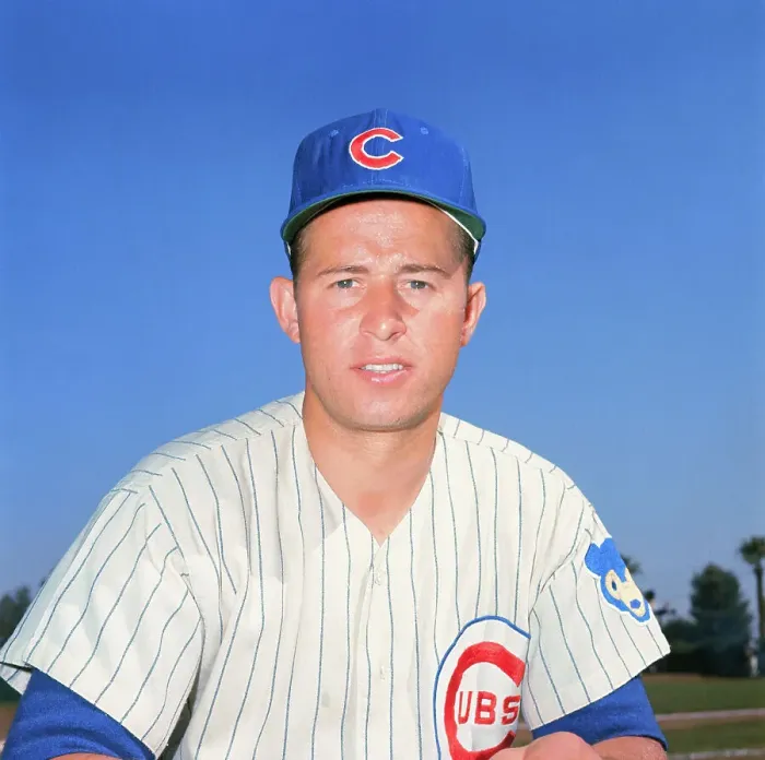 Framed Print : Portrait of Ron Santo Framed Print : Portrait of Ron Santo