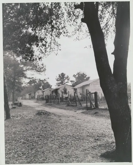 Framed Print : Portrait of Small Houses