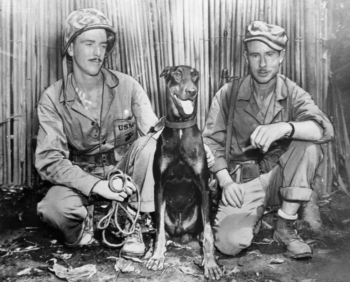 Framed Print : Portrait of Soldiers with Dog