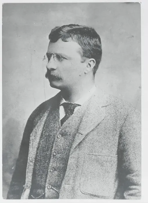 Framed Print : Portrait of Theodore Roosevelt Framed Print : Portrait of Theodore Roosevelt
