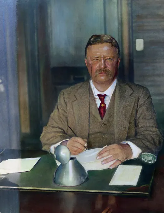 Framed Print : Portrait of Theodore Roosevelt Framed Print : Portrait of Theodore Roosevelt