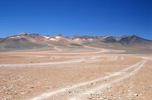 Portrait of Vehicle Tracks Across the Desert Plain