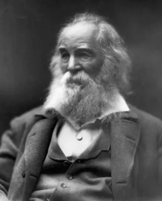 Framed Print : Portrait Of Walt Whitman / Old Age Framed Print : Portrait Of Walt Whitman / Old Age