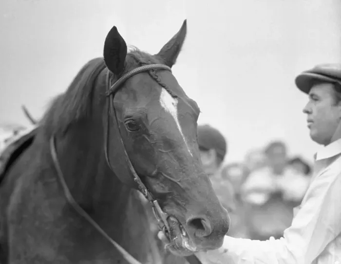 Framed Print : Portrait of Whirlaway Framed Print : Portrait of Whirlaway