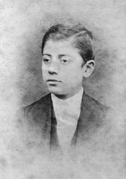 Framed Print : Portrait of the Young Composer Gustave Mahler Framed Print : Portrait of the Young Composer Gustave Mahler