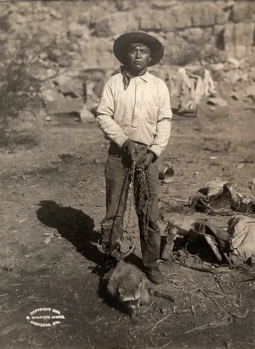 Framed Print : Portrait of young man of Havasupia tribe with captured raccoon on chain, Pasadena, California, 1899