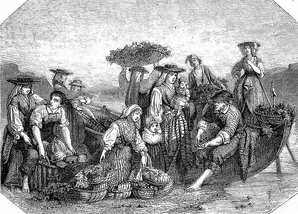 Portugal, Peasants bringing the fruits to market, Historical, digital reproduction of an original from the 19th century