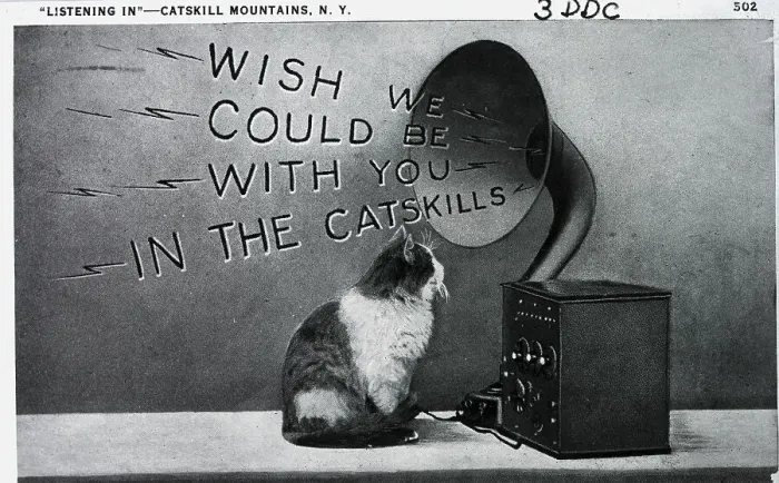 Framed Print : Postcard of Cat Listening to Gramophone Framed Print : Postcard of Cat Listening to Gramophone