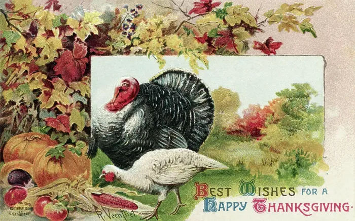 Framed Print : Postcard For Thanksgiving W / Turkey Framed Print : Postcard For Thanksgiving W / Turkey