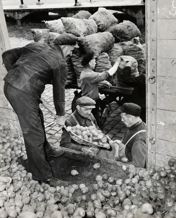 Framed Print : Potato Distribution In Post-War Germany Framed Print : Potato Distribution In Post-War Germany