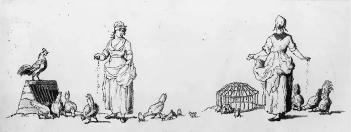 Framed Print : Poultry Farm Framed Print : Poultry Farm