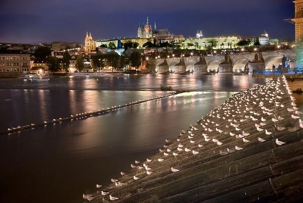 Prague. A view of the castle and Charles bridge from the river side in Prague at dusk