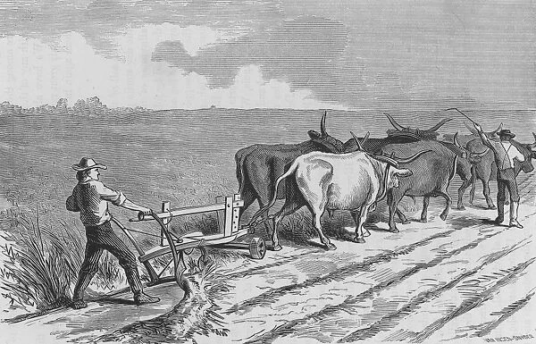 Prairie Ploughing