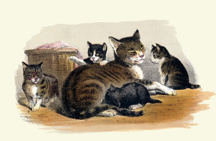 Framed Print : Prang's Cat and Kittens Framed Print : Prang's Cat and Kittens