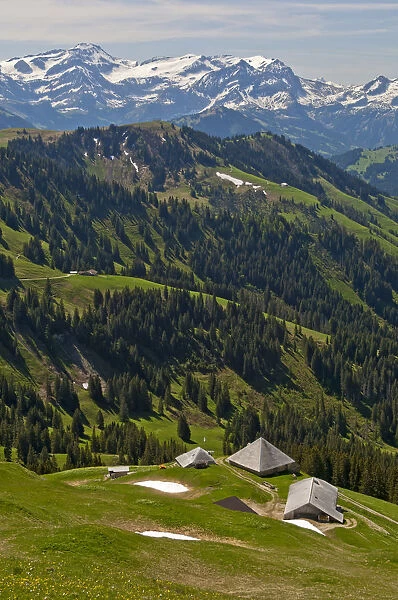 Pre-alpine landscape with alpine cabins, the snow-capped Bernese Alps at the back, near Ablandschen, Saanen, Canton of Bern, Switzerland