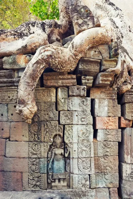 Framed Print : Preah Khan temple covered by strangler fig tree Framed Print : Preah Khan temple covered by strangler fig tree