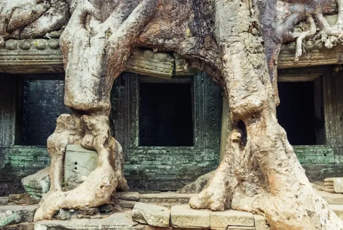 Framed Print : Preah Khan temple covered by strangler fig tree Framed Print : Preah Khan temple covered by strangler fig tree