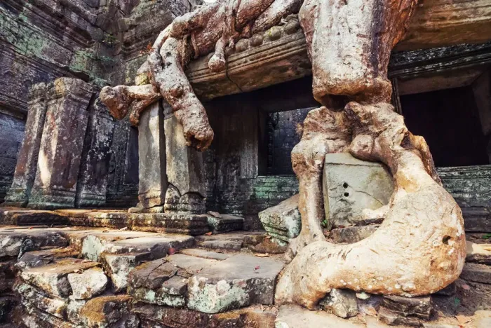 Framed Print : Preah Khan temple covered by strangler fig tree Framed Print : Preah Khan temple covered by strangler fig tree