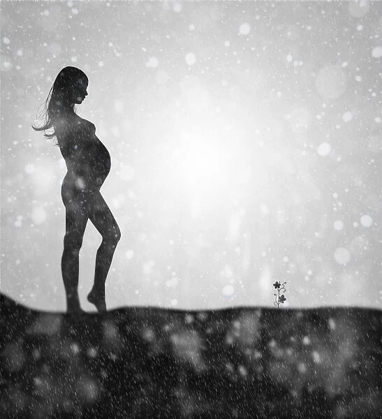 Pregnancy. Digital art