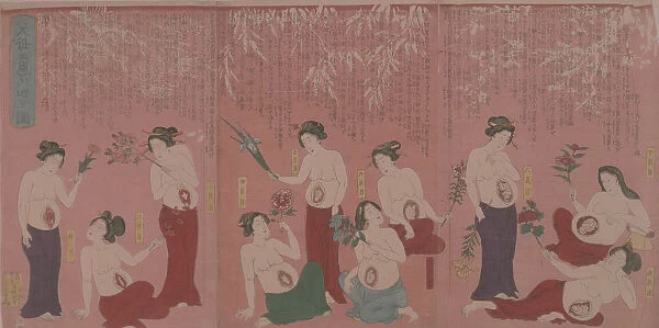 Pregnancy. An Illustration of a Group of Pregnant Japanese Females circa 1550