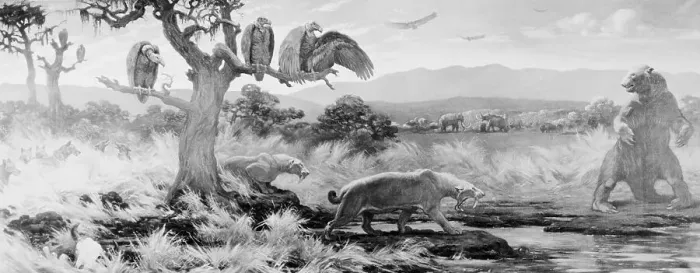 Framed Print : Prehistoric Animals Roaming Framed Print : Prehistoric Animals Roaming
