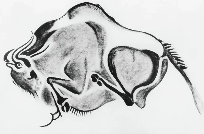 Framed Print : Prehistoric Drawing of a Bison Framed Print : Prehistoric Drawing of a Bison