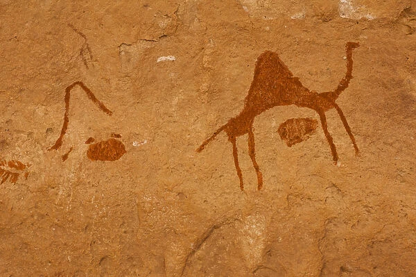 Prehistoric Petroglyphs in libian sahara desert